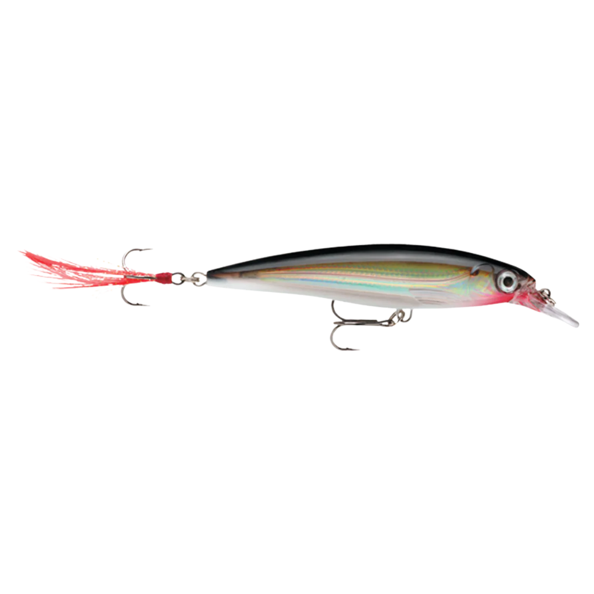 RAPALA X-RAP JERKBAIT 3-1/8IN - SILVER