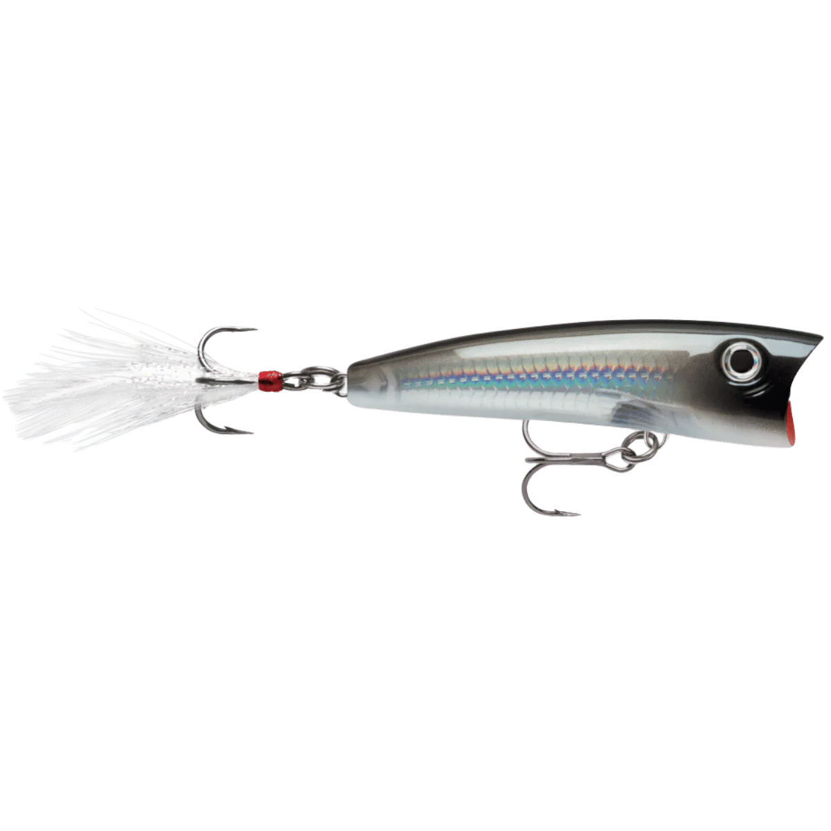 X-RAP POP 07 - PEARL GREY SHINER 2-3/4IN